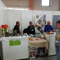 IMG_20190413_124635_1