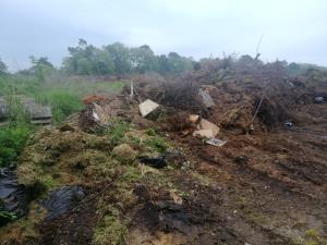 IMG_20190527_082554_resized_20190527_084651290