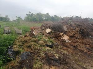 IMG_20190527_082556_resized_20190527_084622020