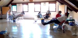 IMG_20200810_084119_crop