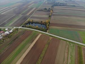 org_daa95750f1d0617f_1604051810000