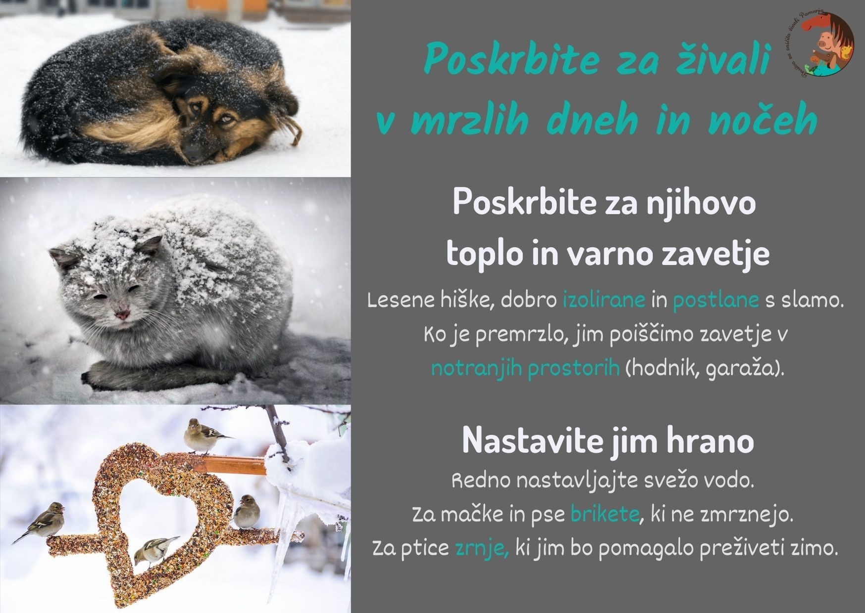 zima.docx.jpg